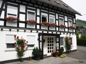  Ferienhaus Haus am Medebach  Ольсберг